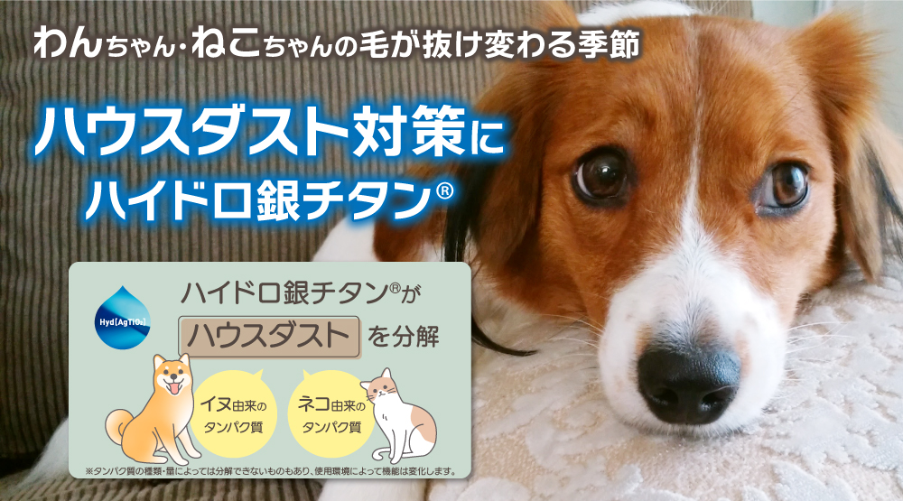 ローテーションバナー_top_240528.jpg