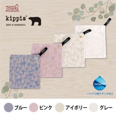 ４】『kippis』ハイドロ銀チタン(R)マスクケース アピラ | DR.C医薬