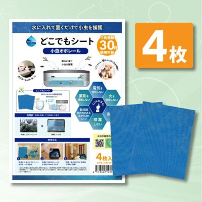 8/13 コカコーラシート 2枚 - 福岡県の生活雑貨