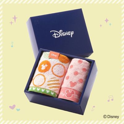 【+2】ハイドロ銀チタン(R)『Disney(ディズニー)』 アイコンポップ タオルセット(WT×1 FT×1)